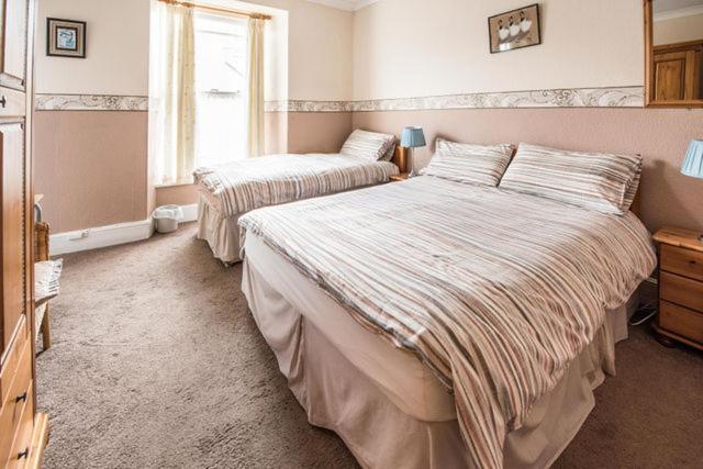 Glendower B&B Ст. Дэвидз Экстерьер фото